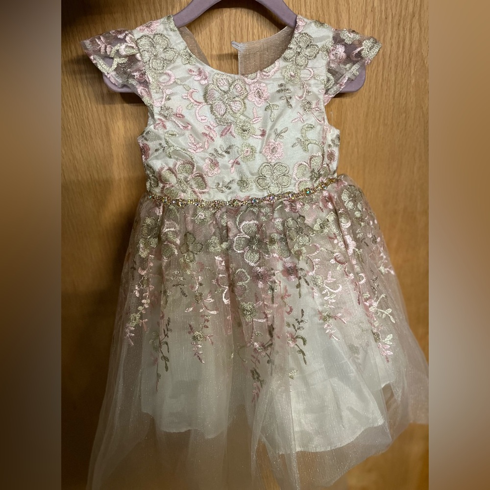 NWOT Floral Embroidered Dress with Pink and Gold Accents 2T